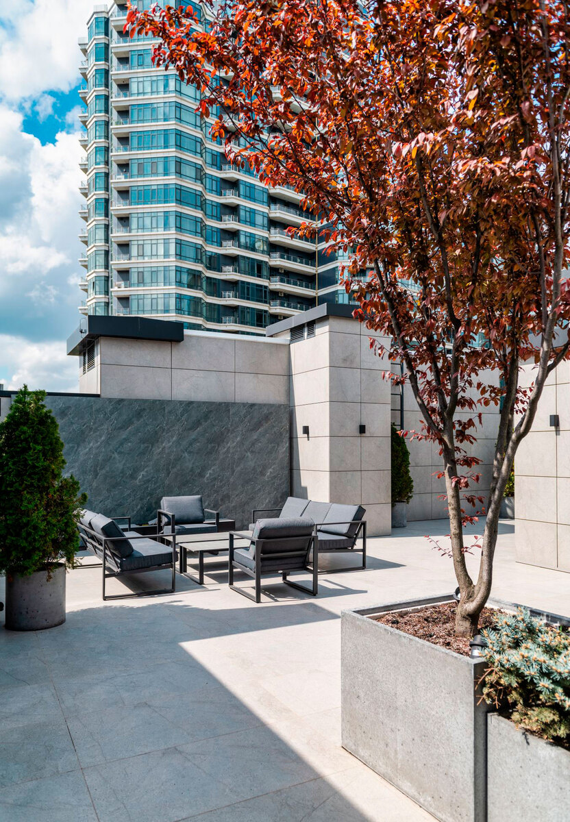 ������� ������� Nobility ����