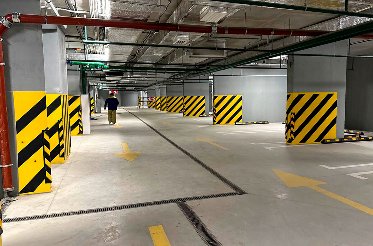 ����� ������ ����