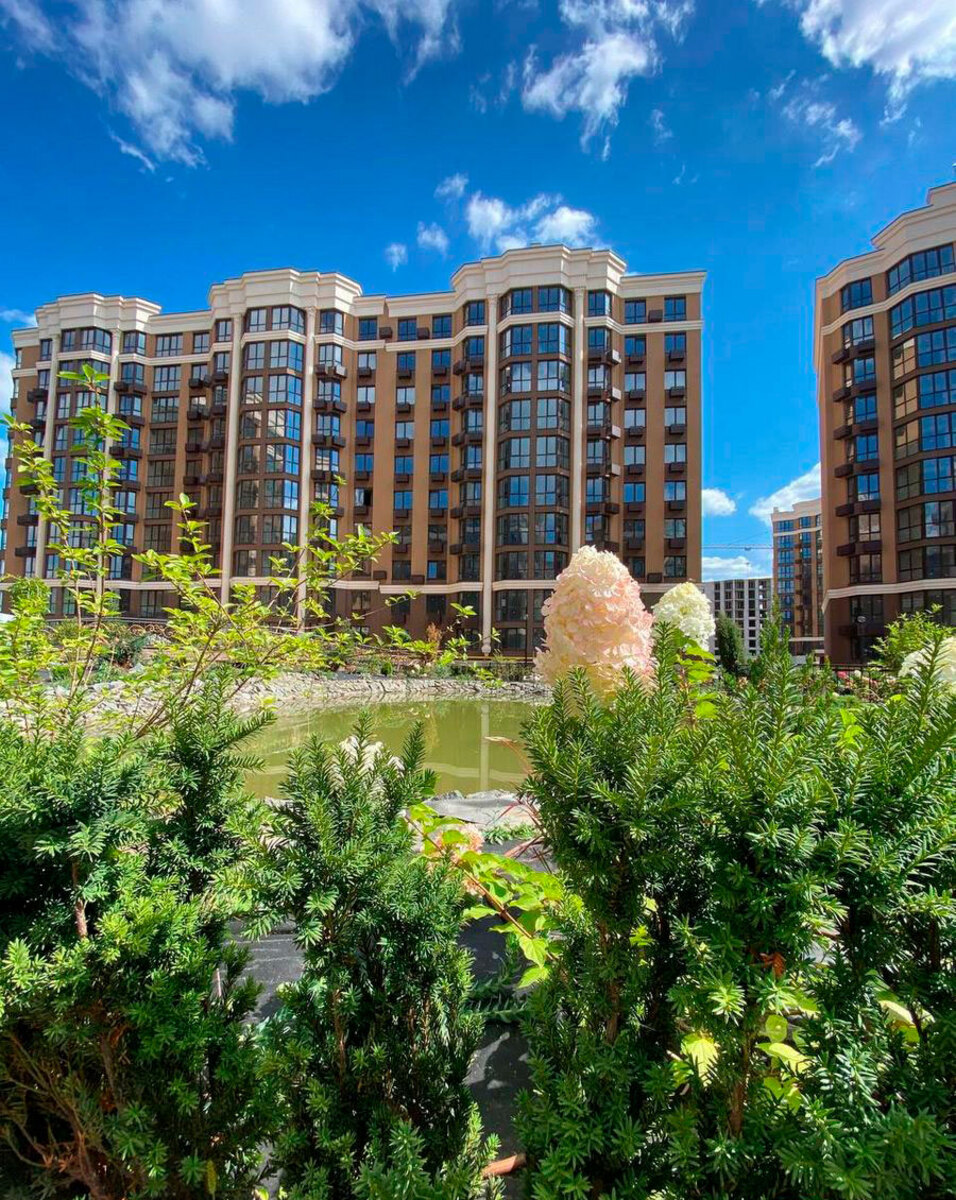 ����� ������� ����