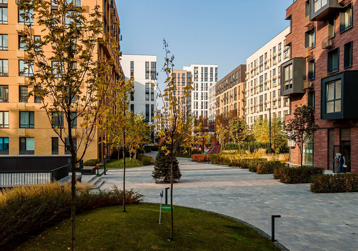 ����� ���� ����