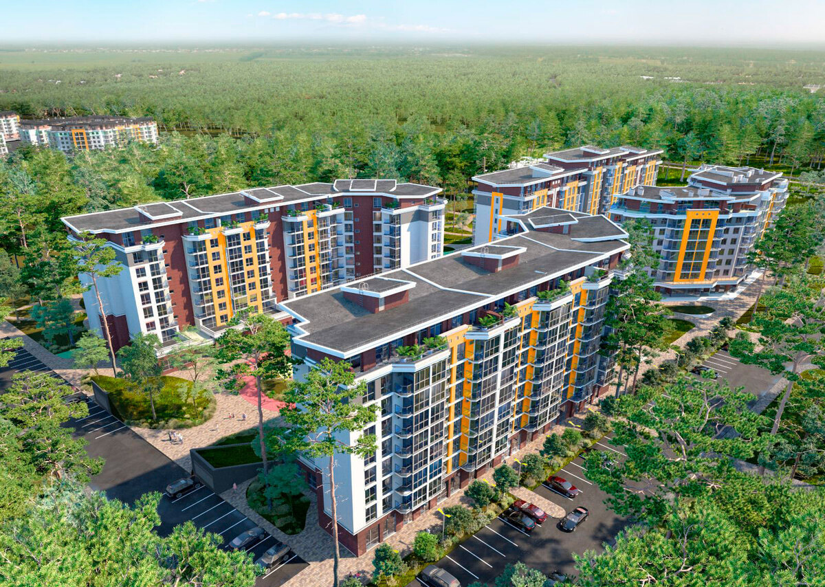 �� �������� ����