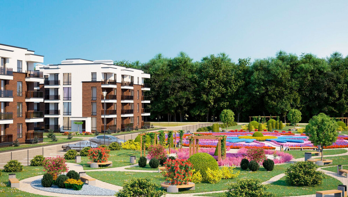 ���� ��� ����