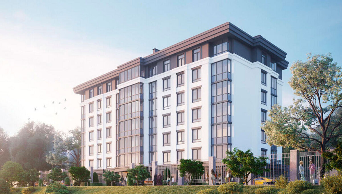 White house ����