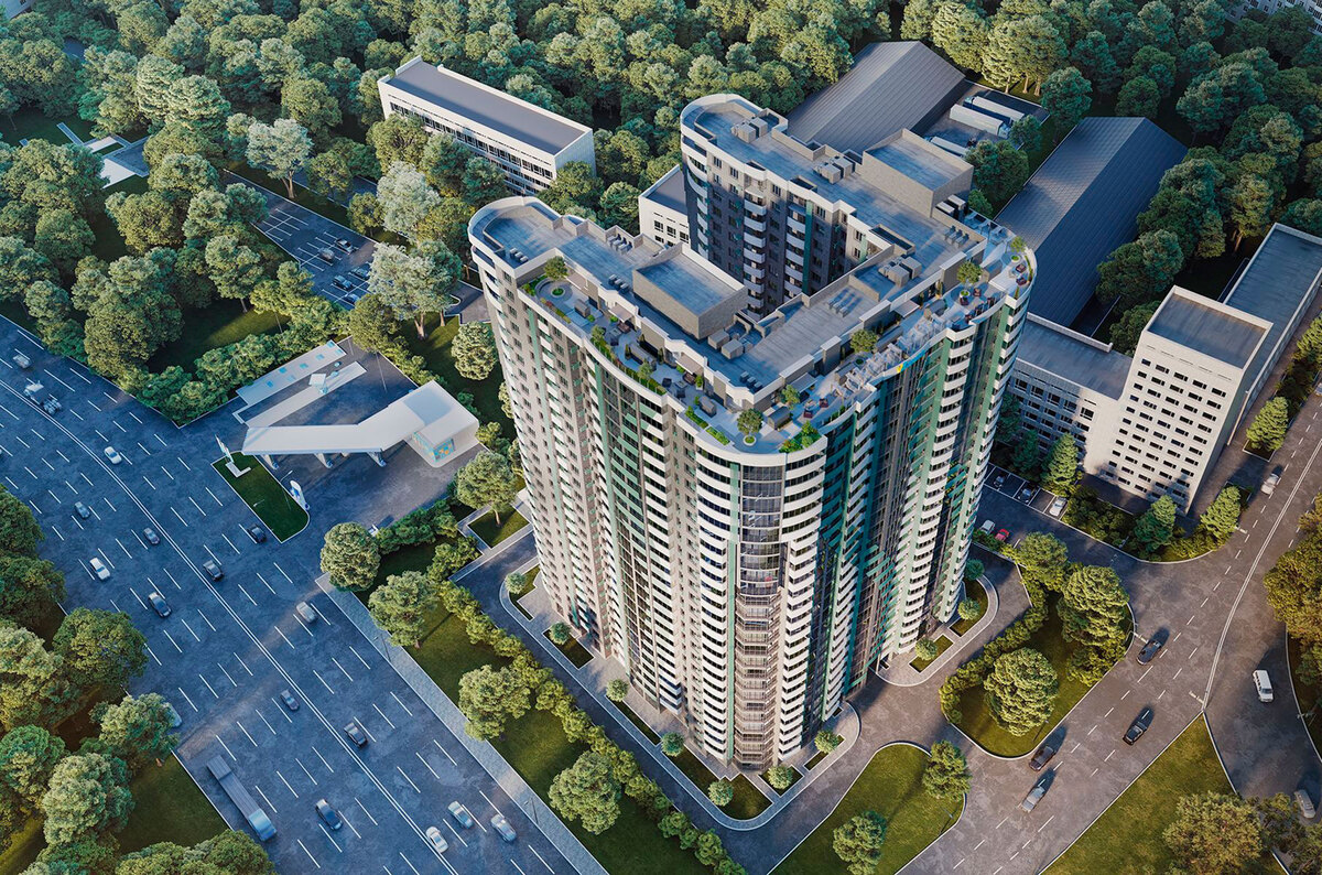 FREEDOM ����