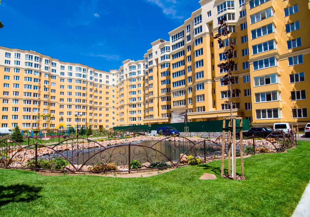 ����� ������� ����