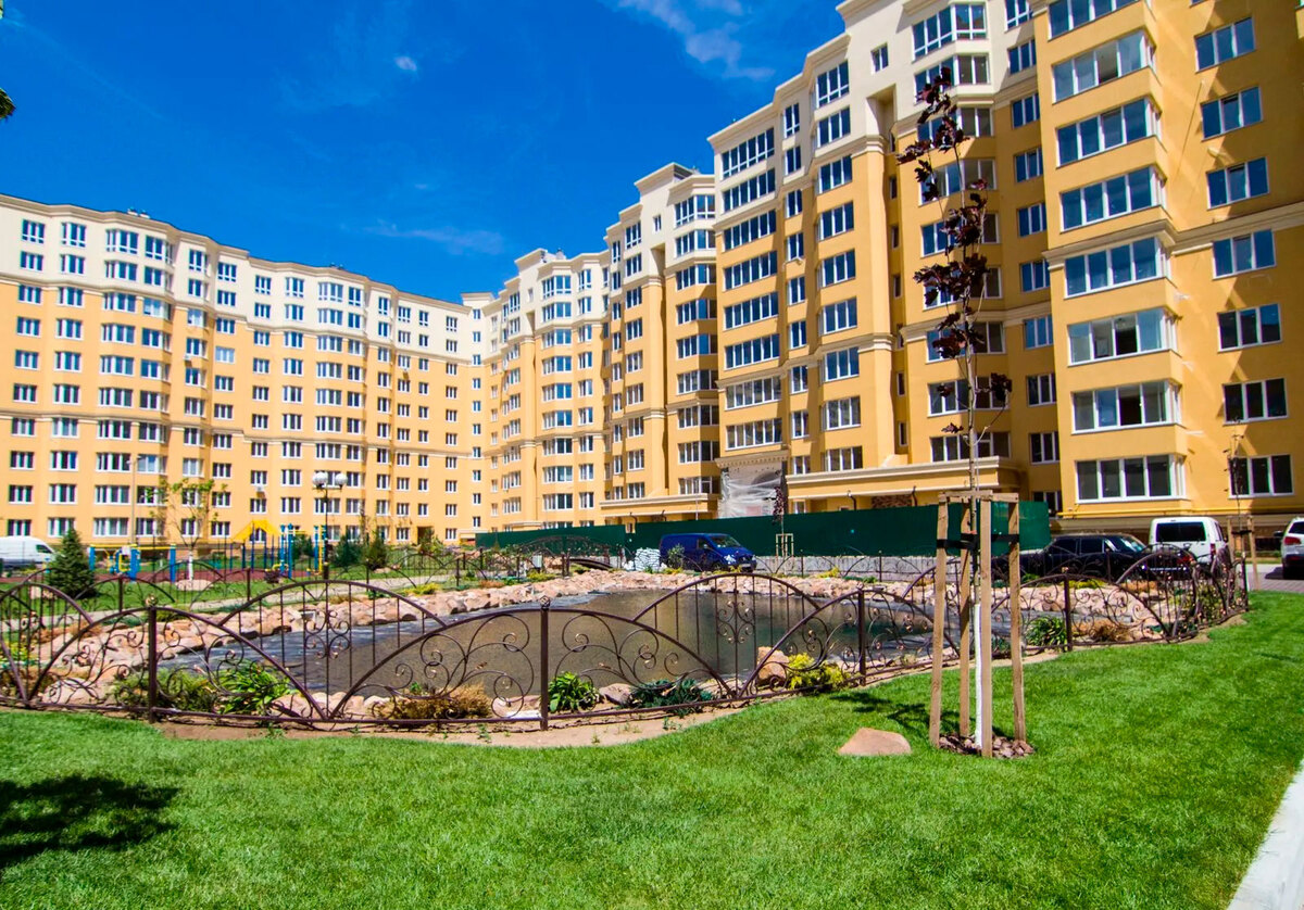 ����� ������� ����