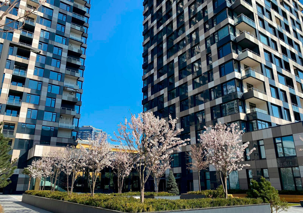 Tetris Hall ����