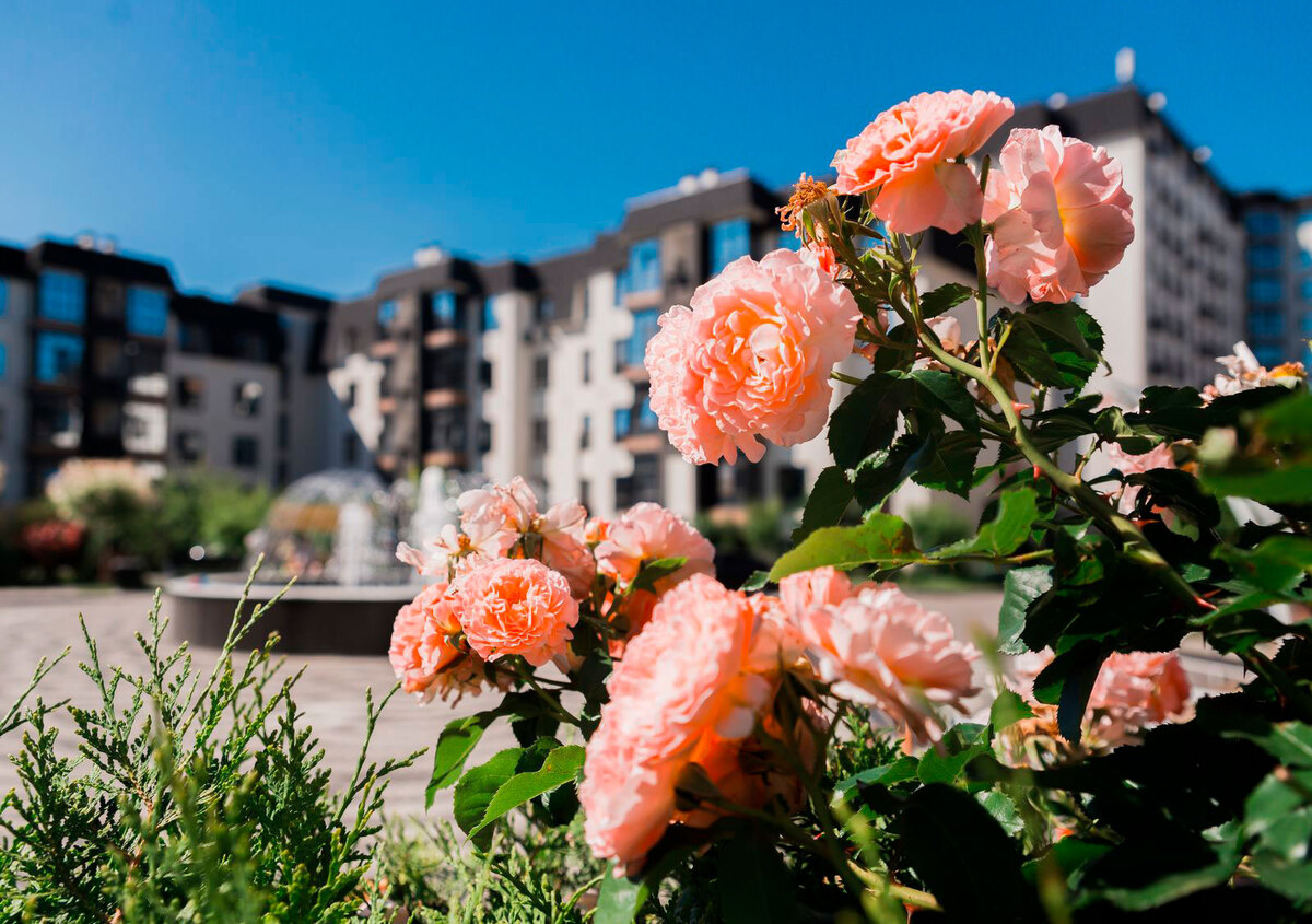 �-������� ����