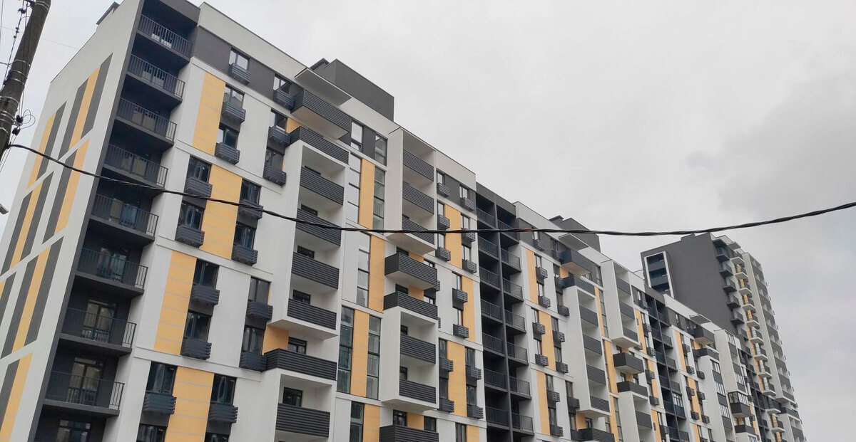 �������� ѳ� ���� ����