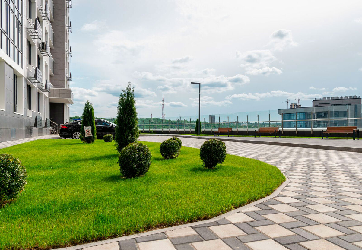 ������������� ���� ����