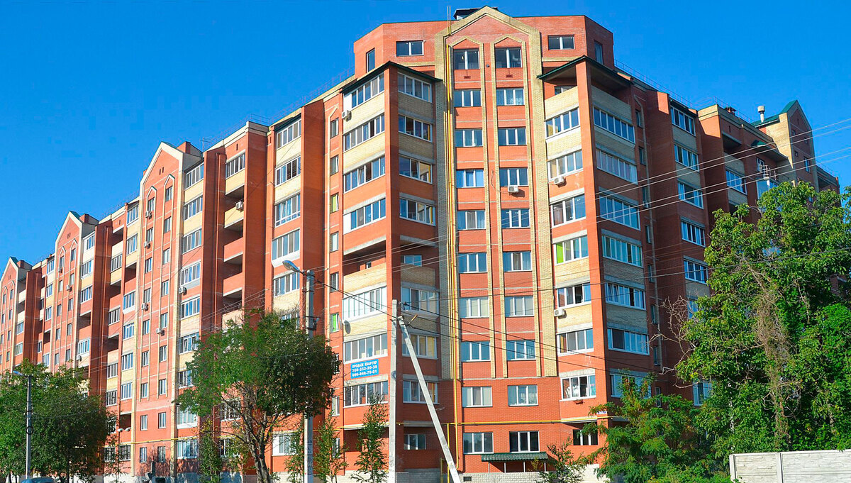 ������ ����