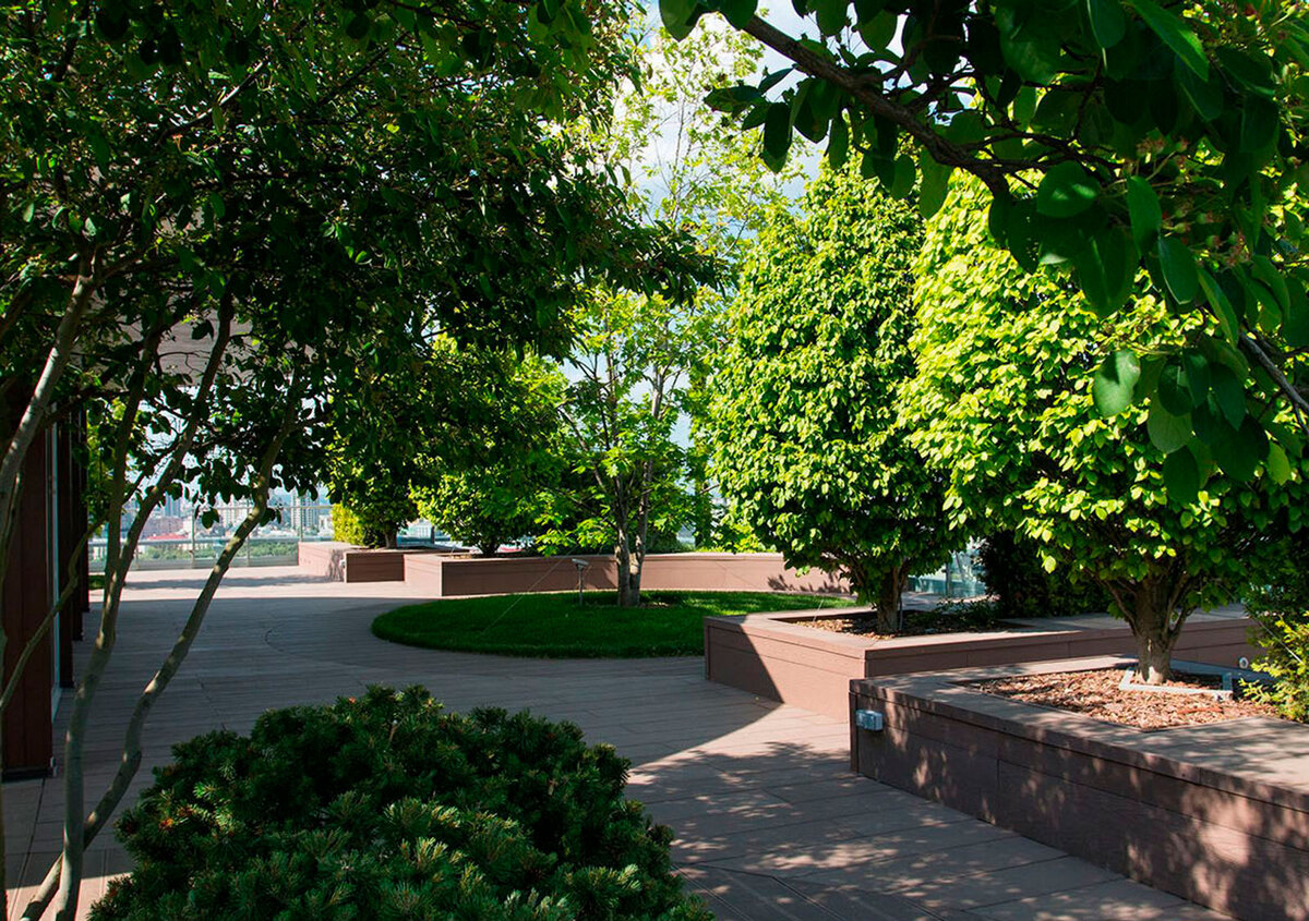 Royal Tower ����