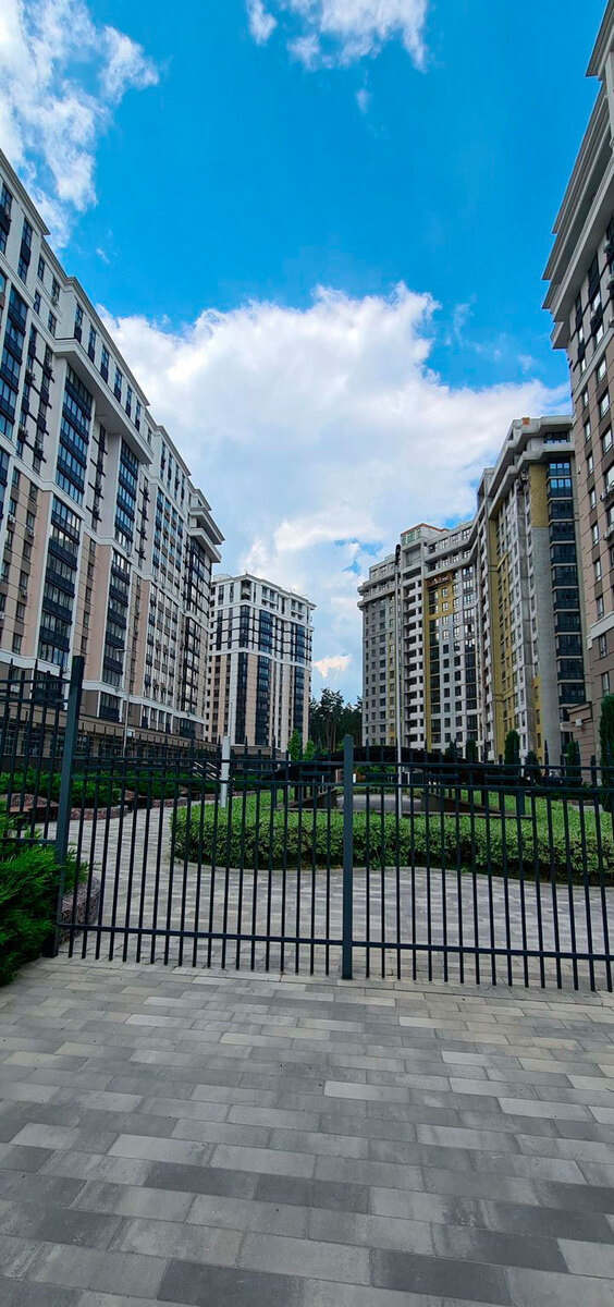 �����������-2 ����