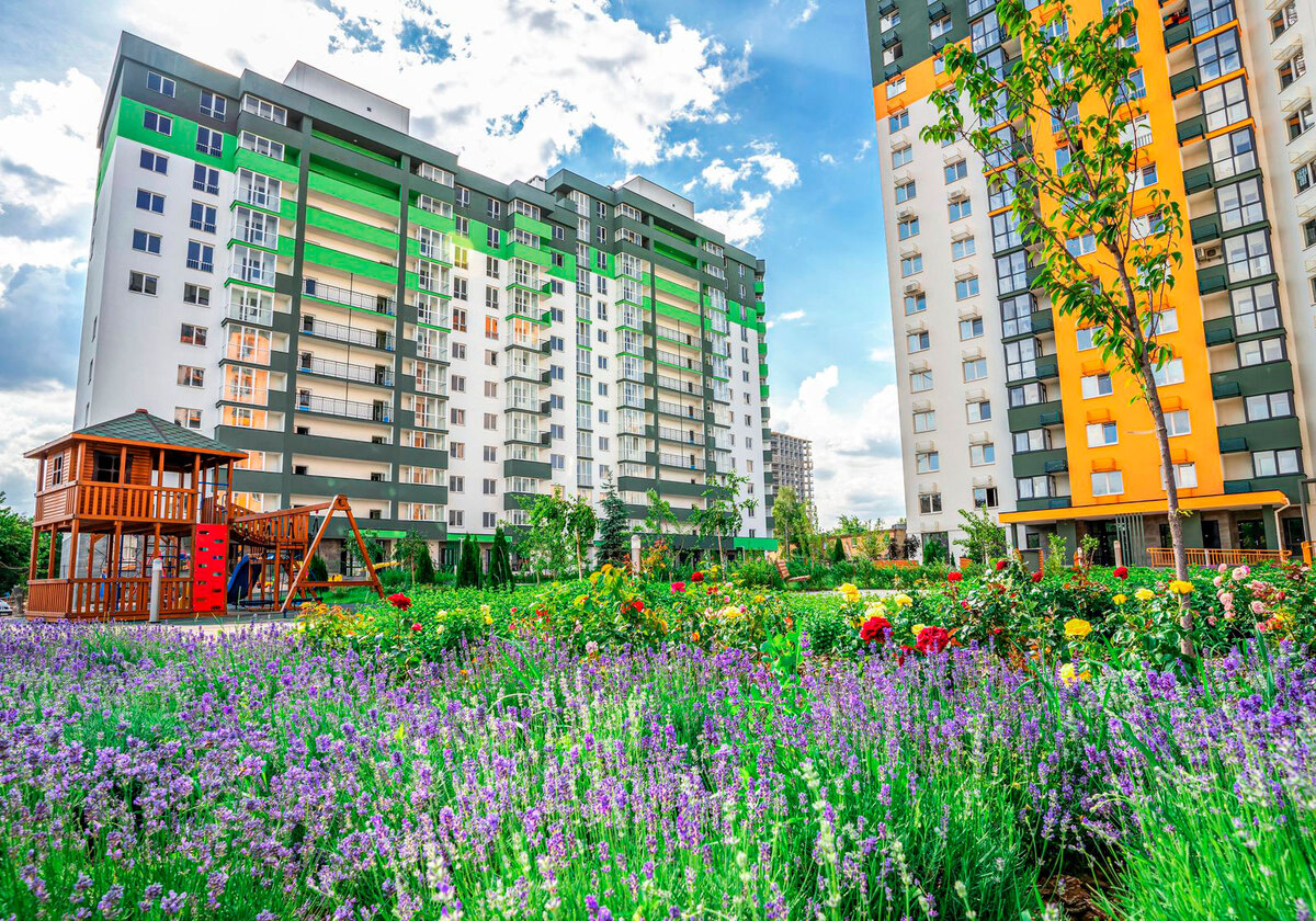 ������� ���� ����