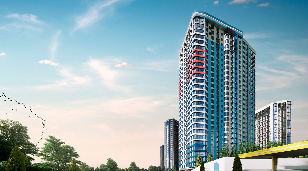 ����� ������ ����