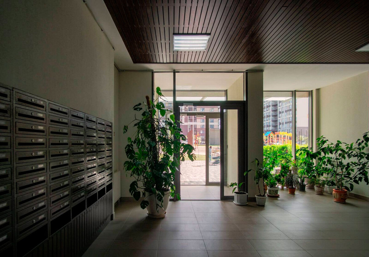 ����������� ������� ����