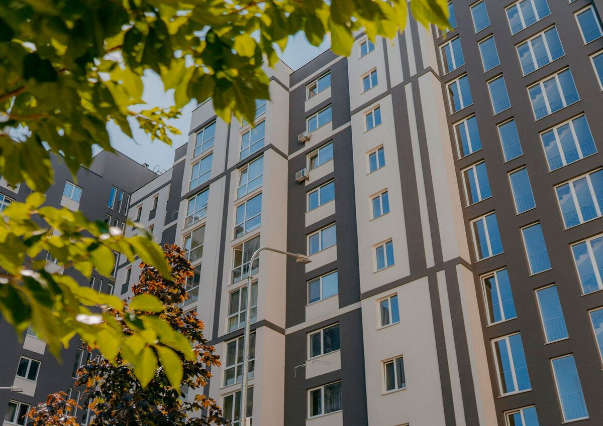 �������� ����