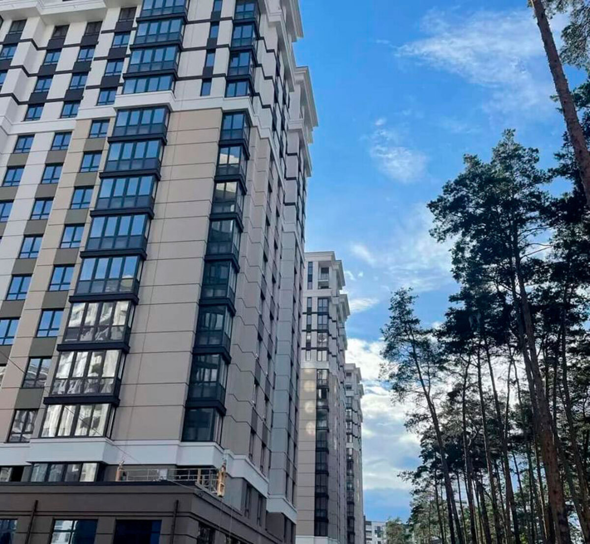 �����������-2 ����