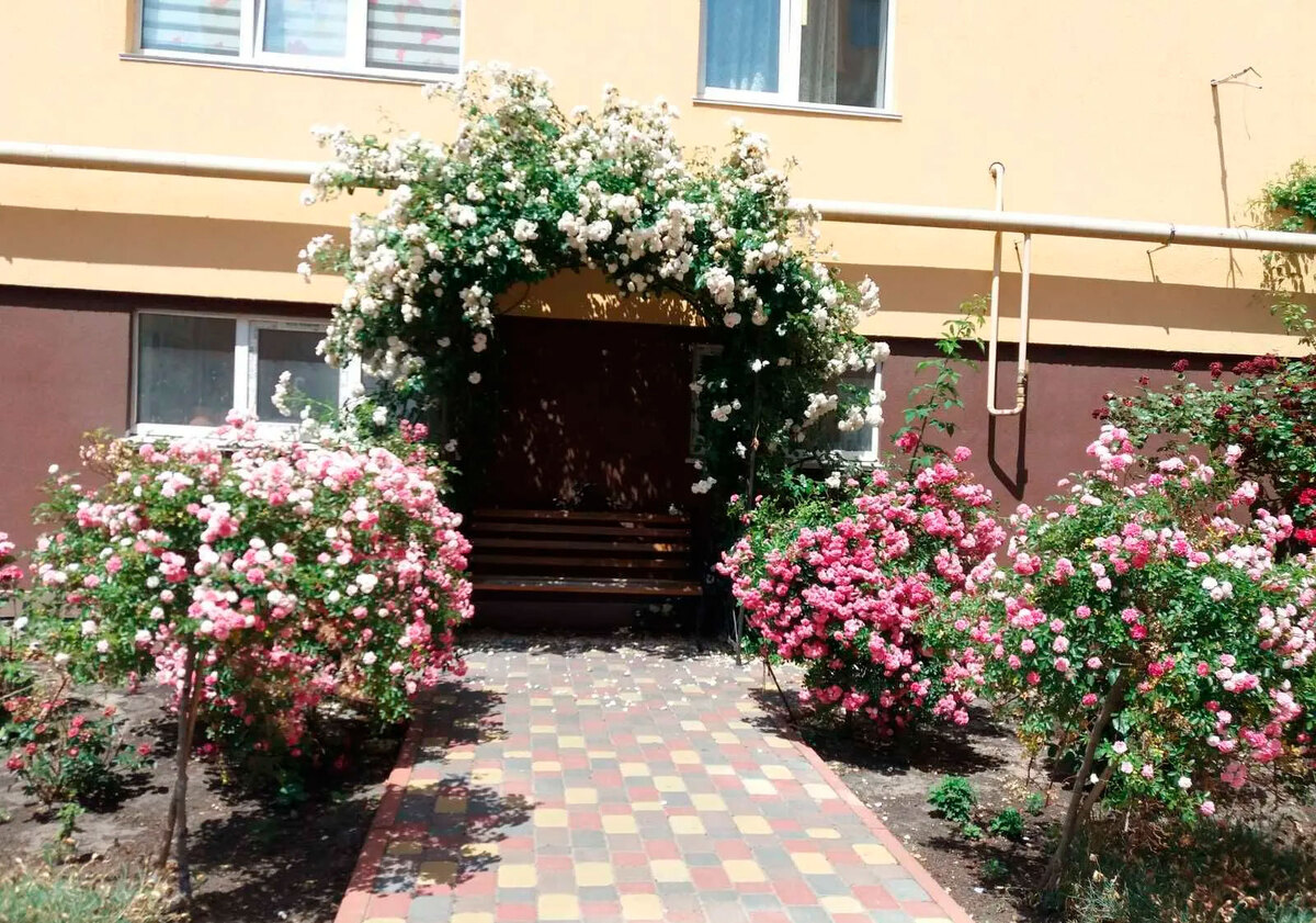 �������� ����� ����