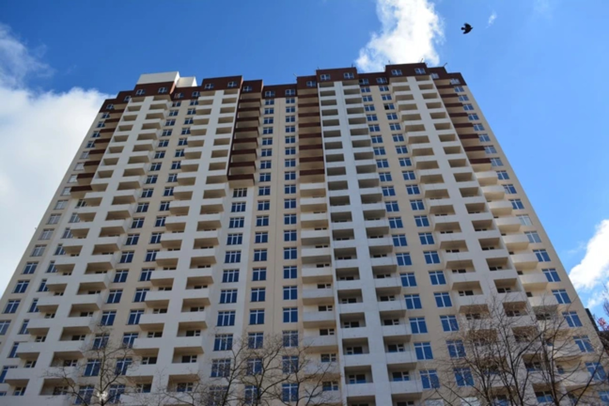 ������� ���� ����