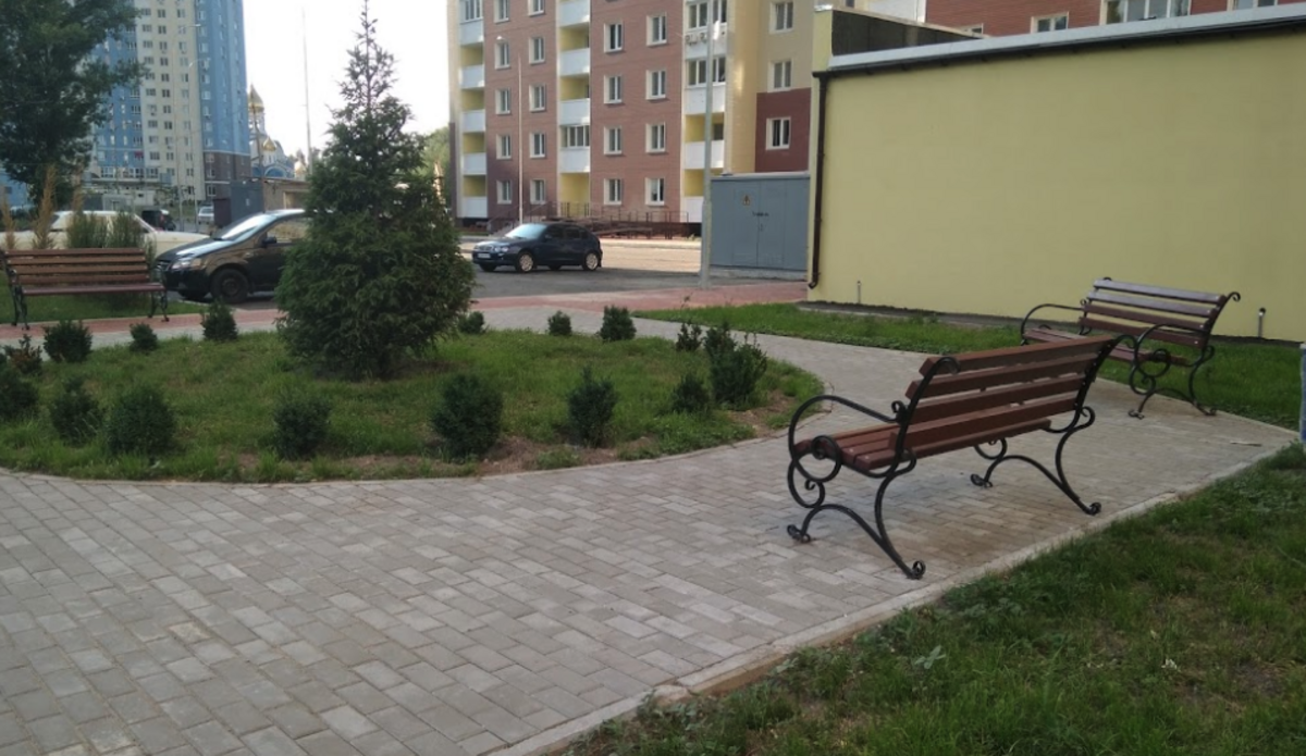 ������ ����