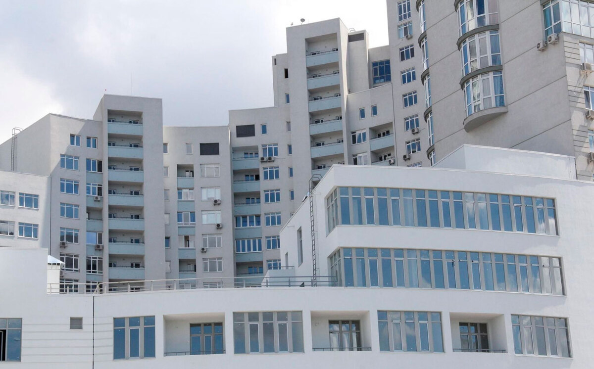 ���� ����� ����