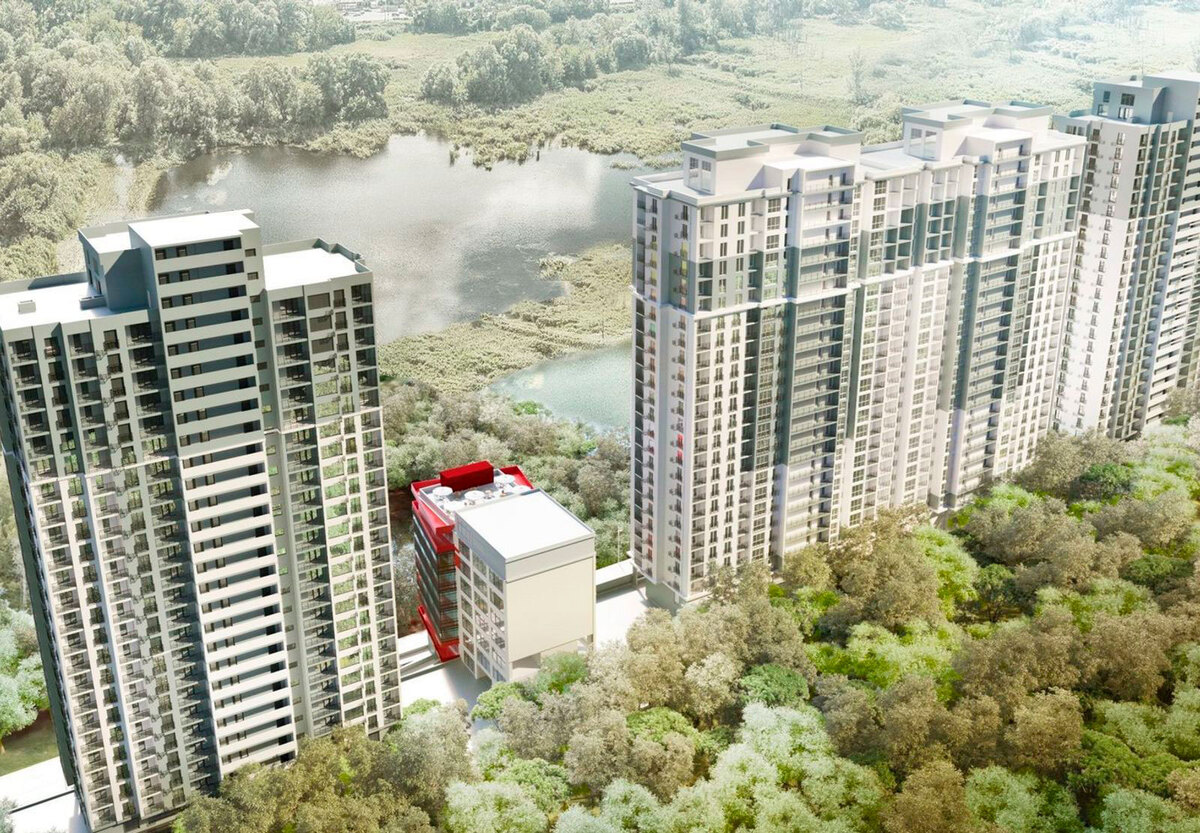 ������ ������ ����