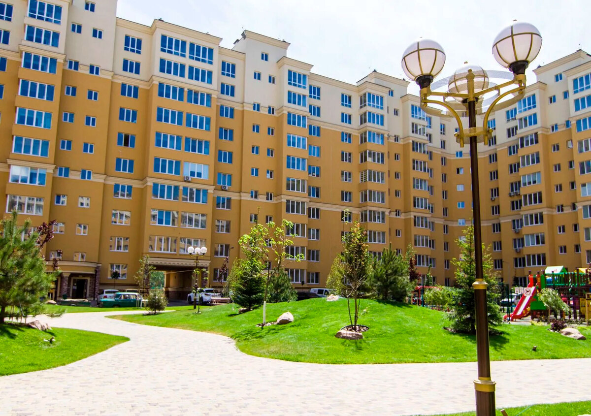 ����� ������� ����