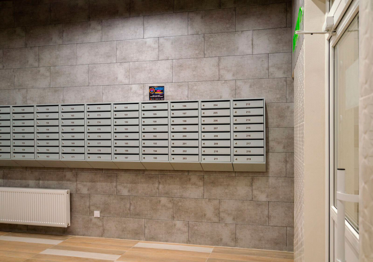 �������� ����