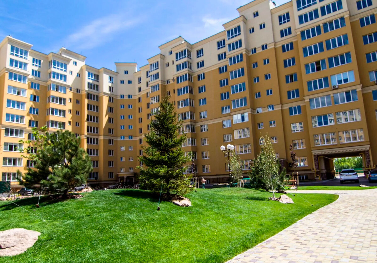 ����� ������� ����