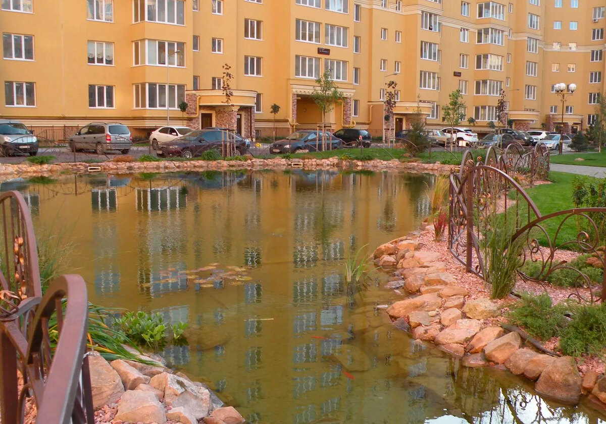 ����� ������� ����