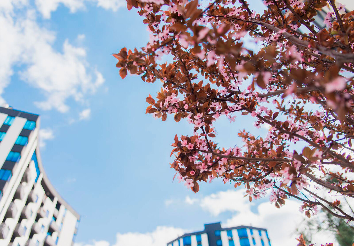 �-������� ����