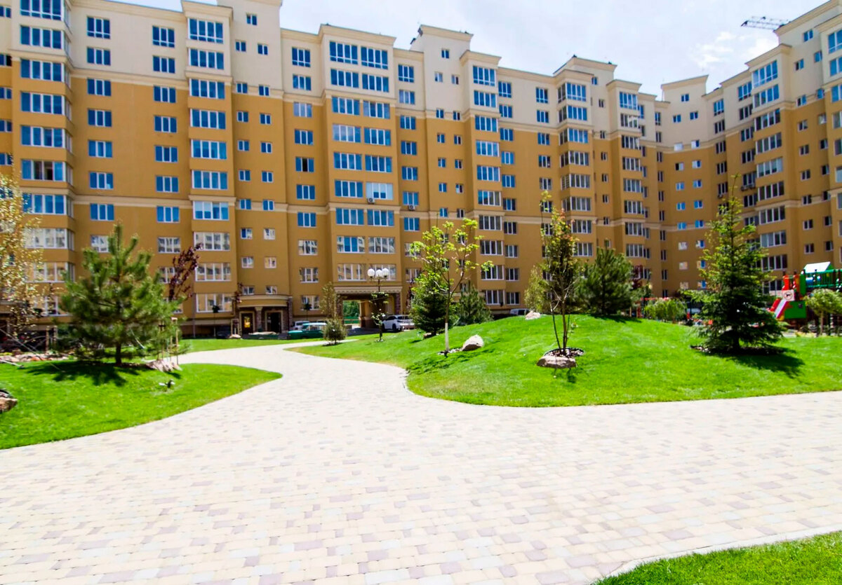 ����� ������� ����