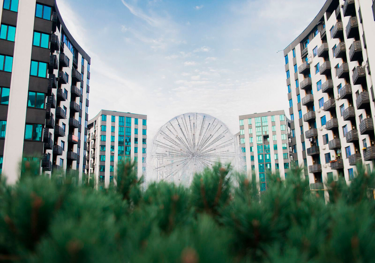 �-������� ����