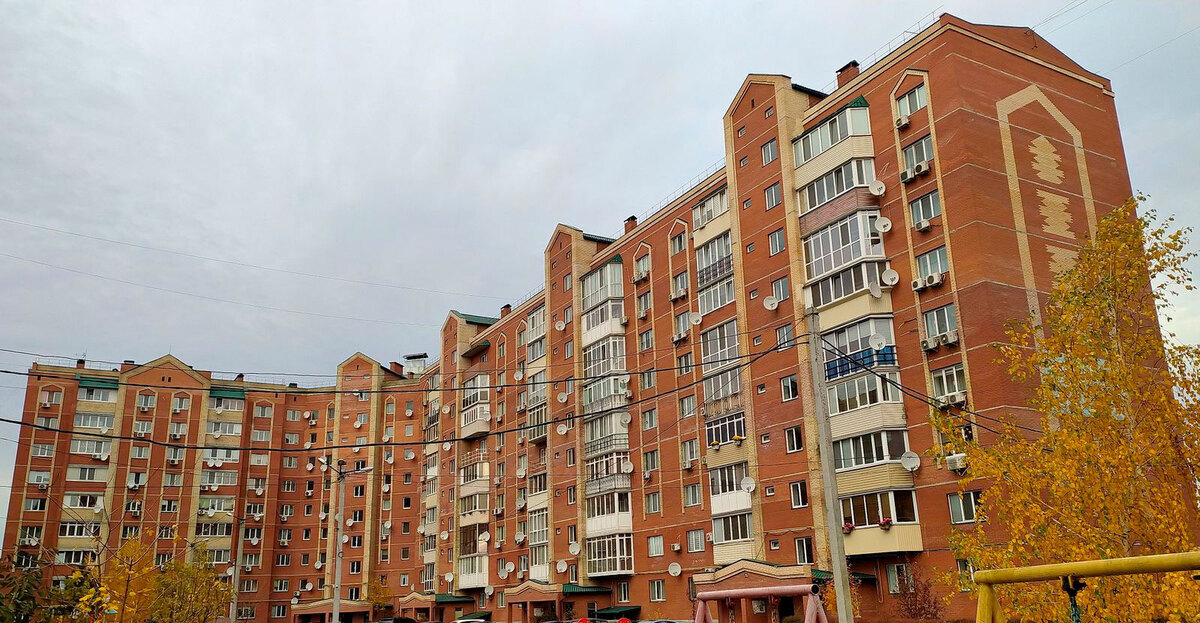 ������ ����