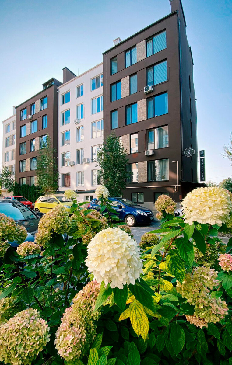 ����� �������.Center ����