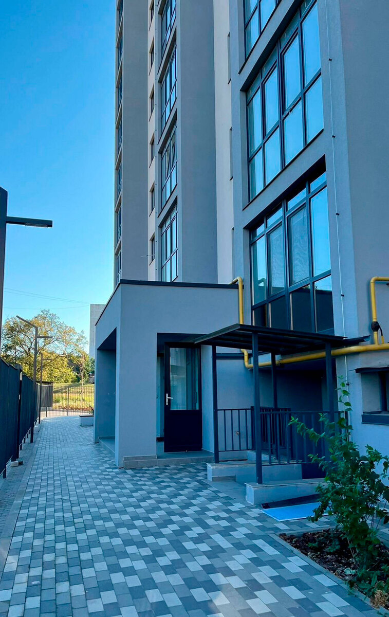 �������� ����