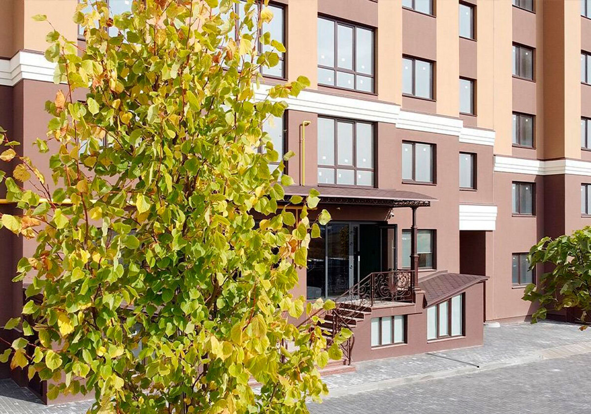 ��������� ����� ����