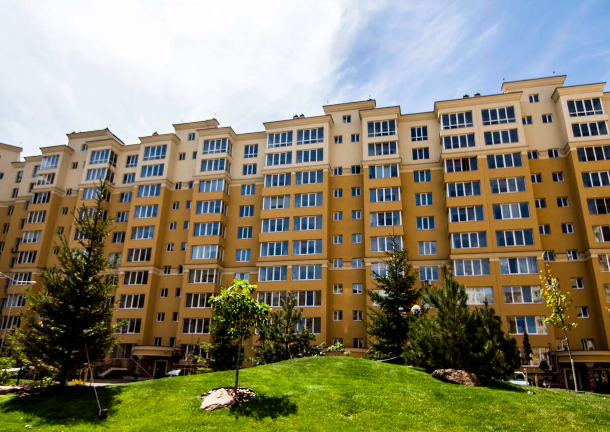 ����� ������� ����