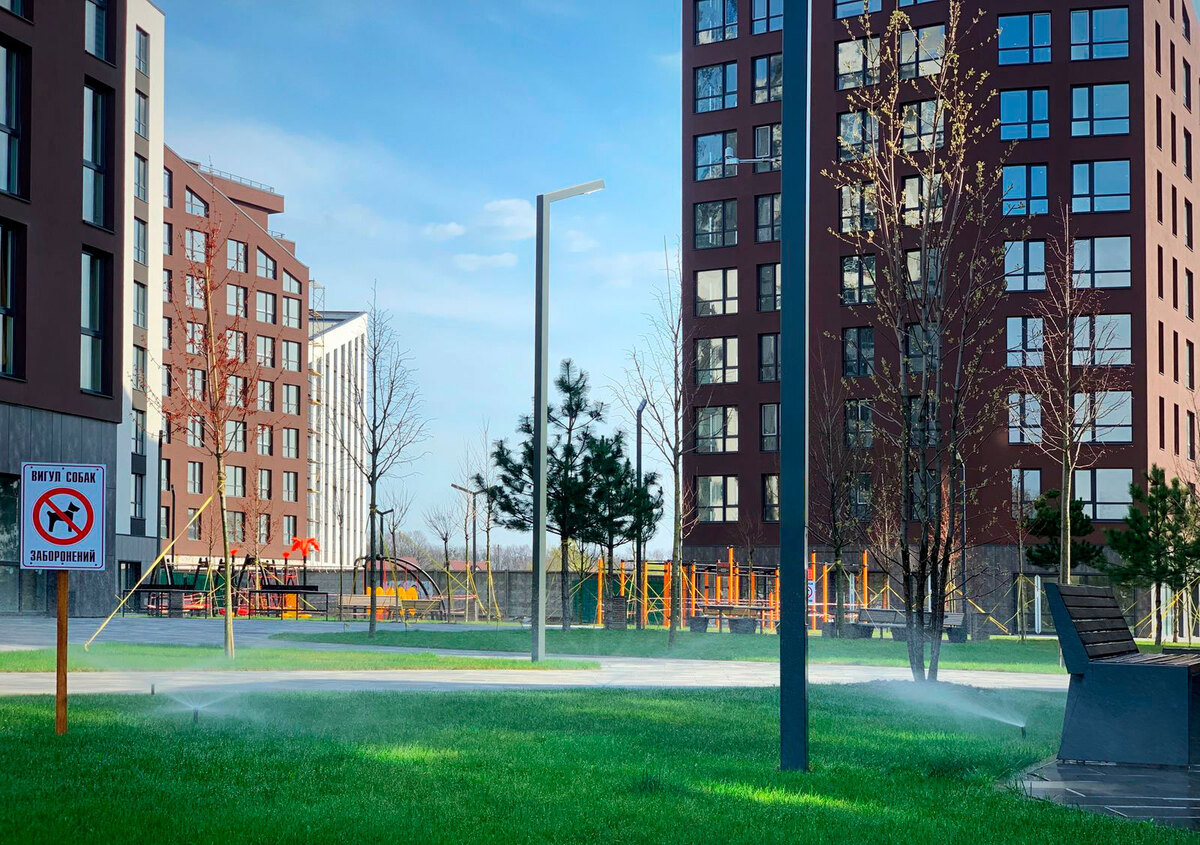 Paradise Avenue ����