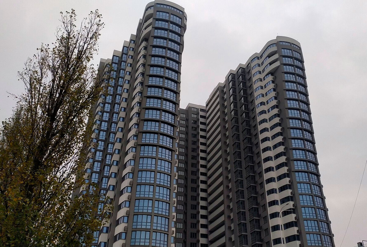 FREEDOM ����