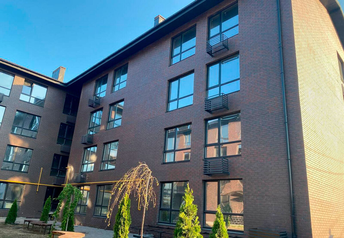 ��� ������ ����