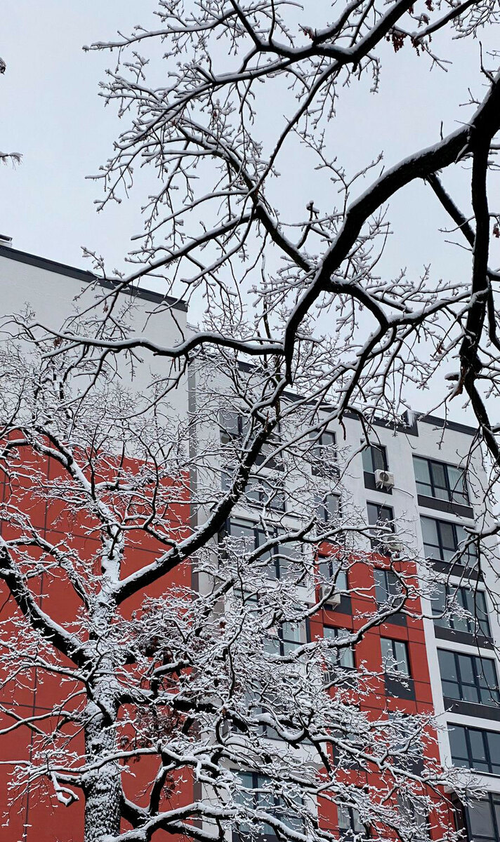 Green Life-3 ����