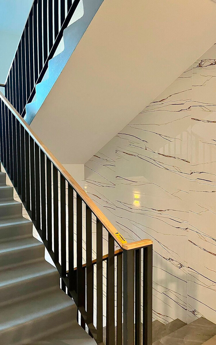 �������� ����