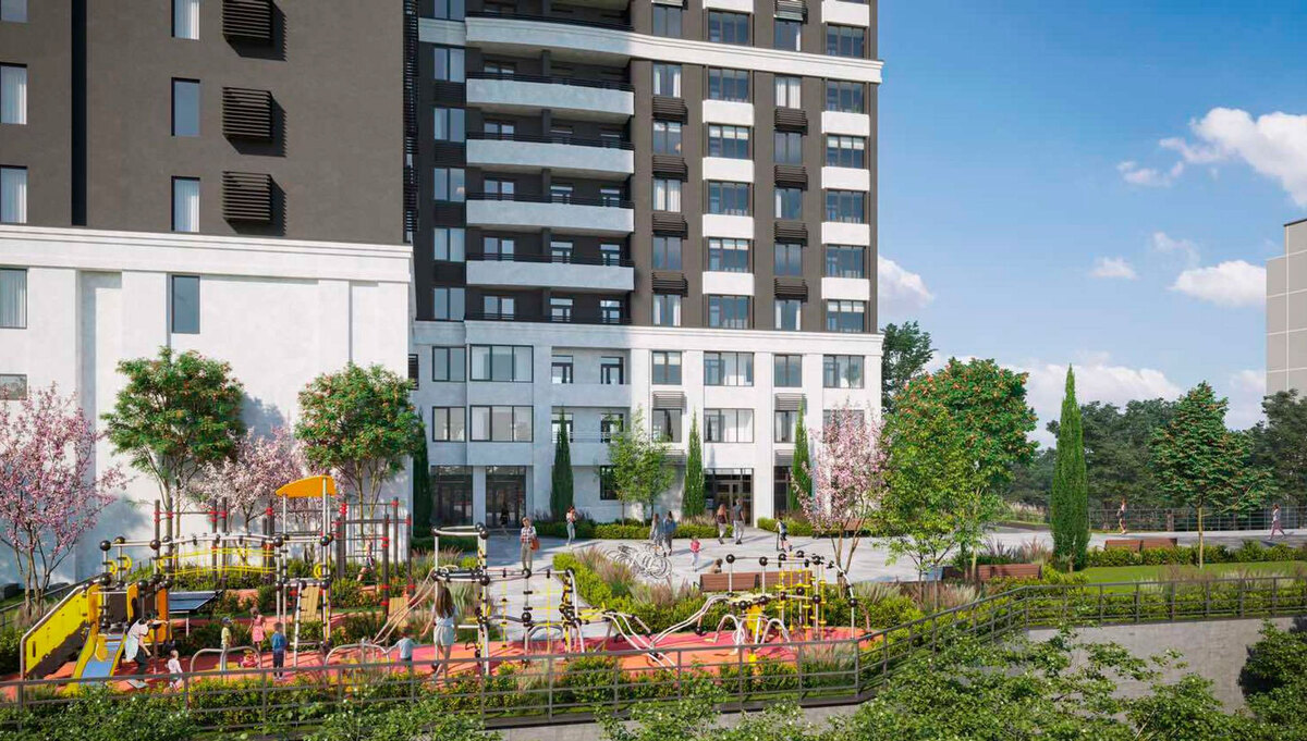 �������� ����� ����