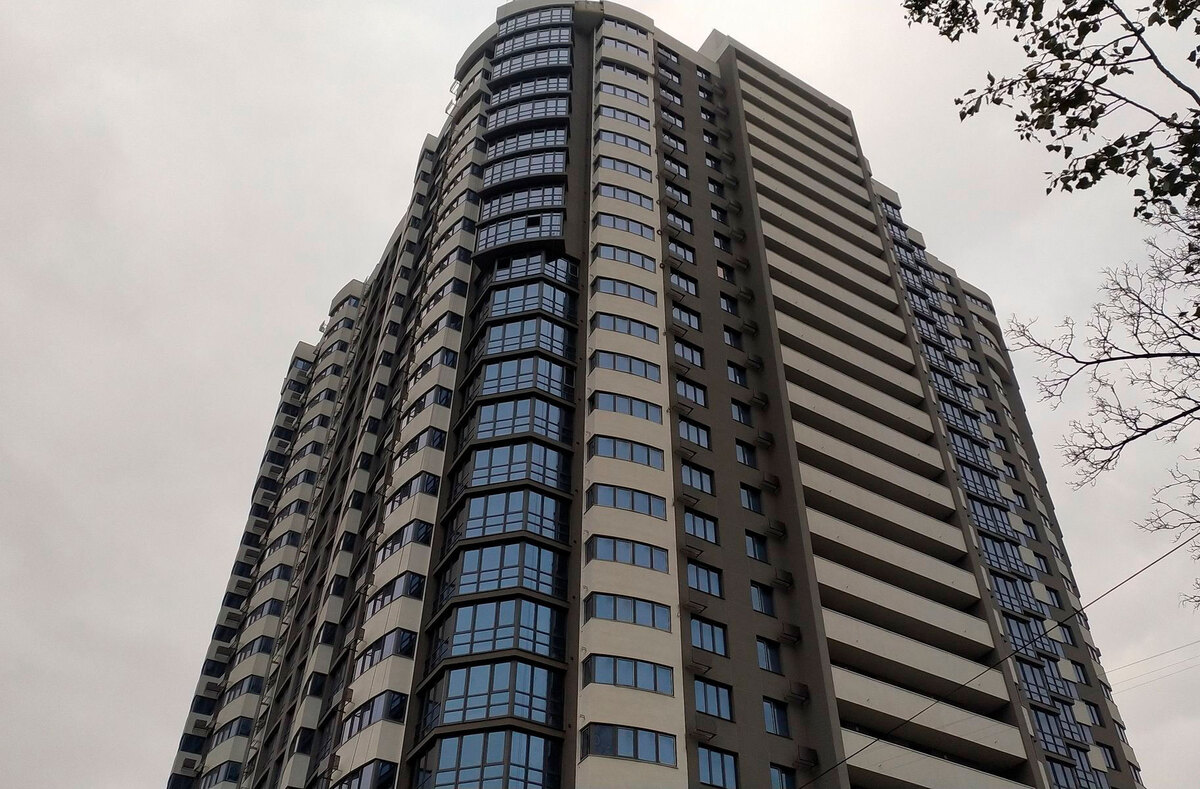 FREEDOM ����