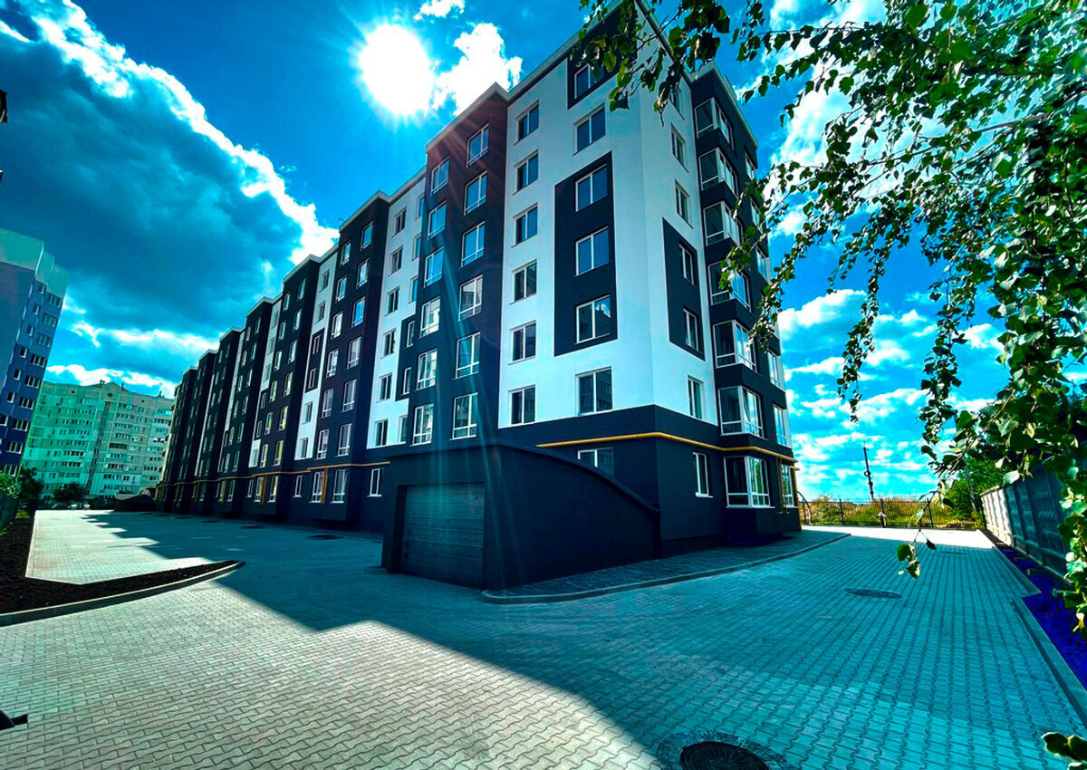 �������� ����� ����