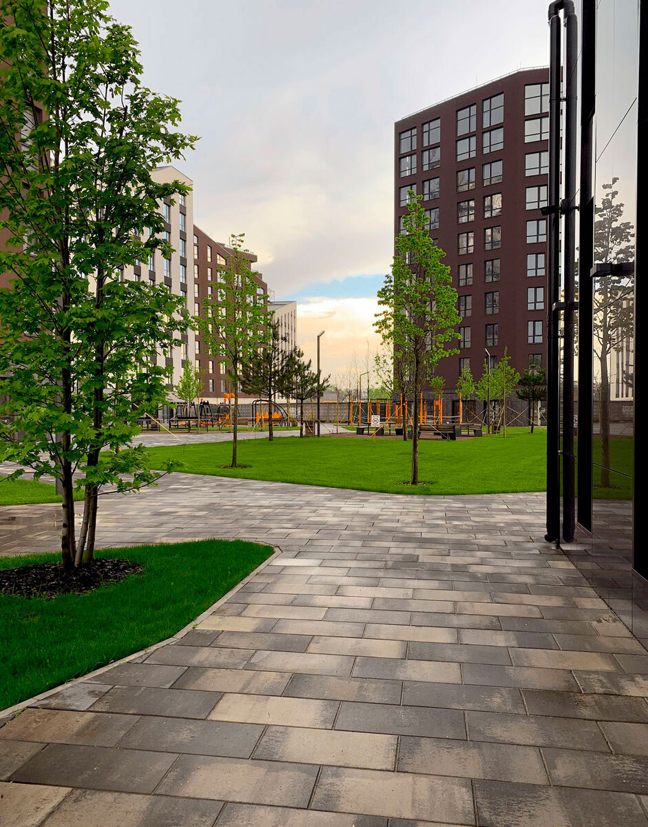 Paradise Avenue ����