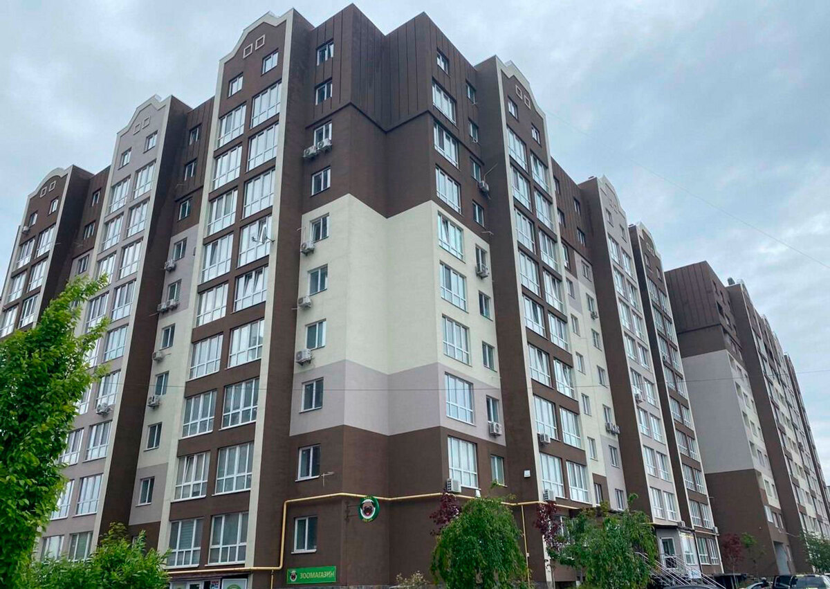 ���� �����-����� ����