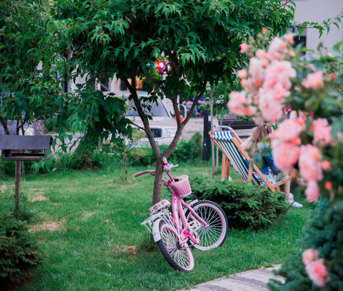 �-������� ����